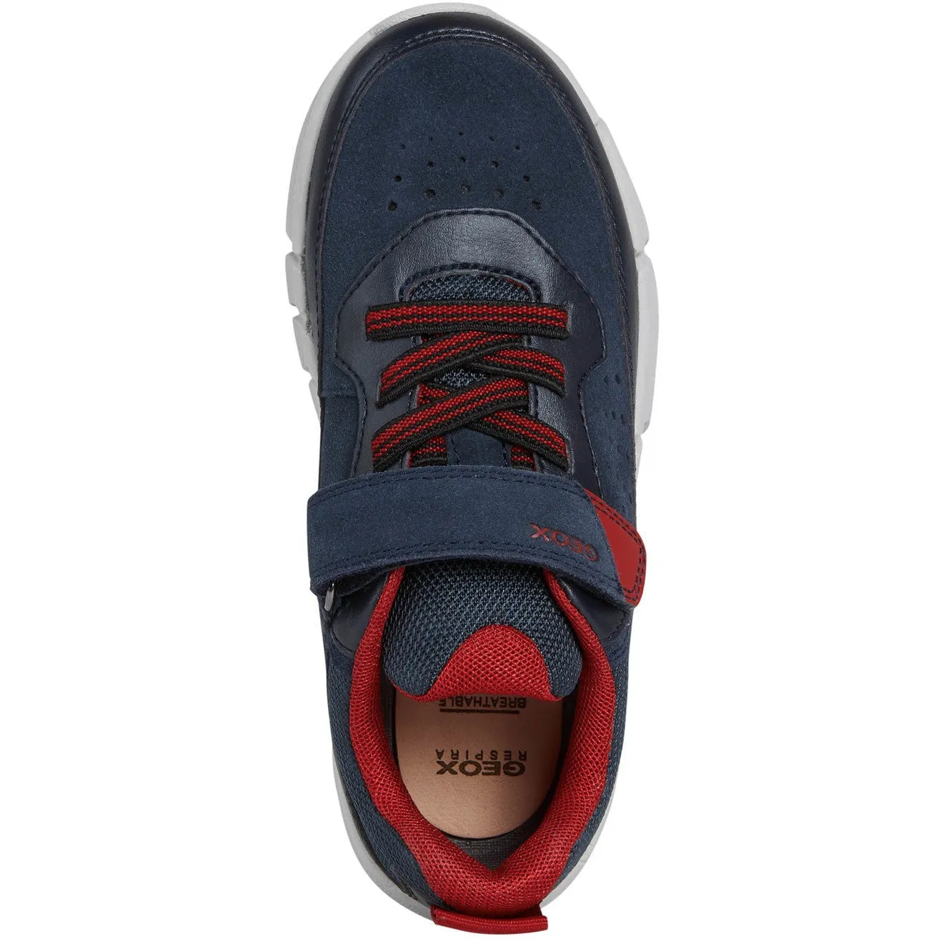 Geox Boys Velcro Trainer J269BA