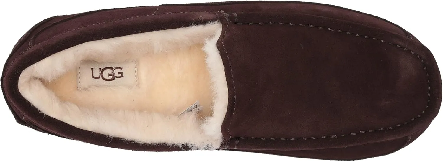 UGG Men's Ascot Slipper